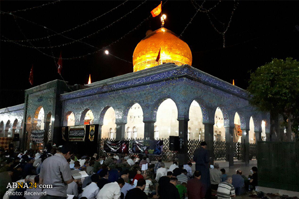 تصويري رپورٹ: حرم مطهر حضرت زینب (س) میں حضرت علی کی شہادت اور شب قدر کی مناسبت سے عزاداری و مناجات
