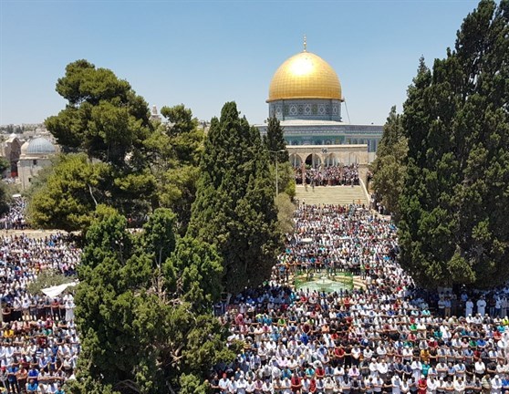 300,000 worshipers perform prayers at Al-Aqsa Mosque on 3rd Friday of Ramadan / Pics
