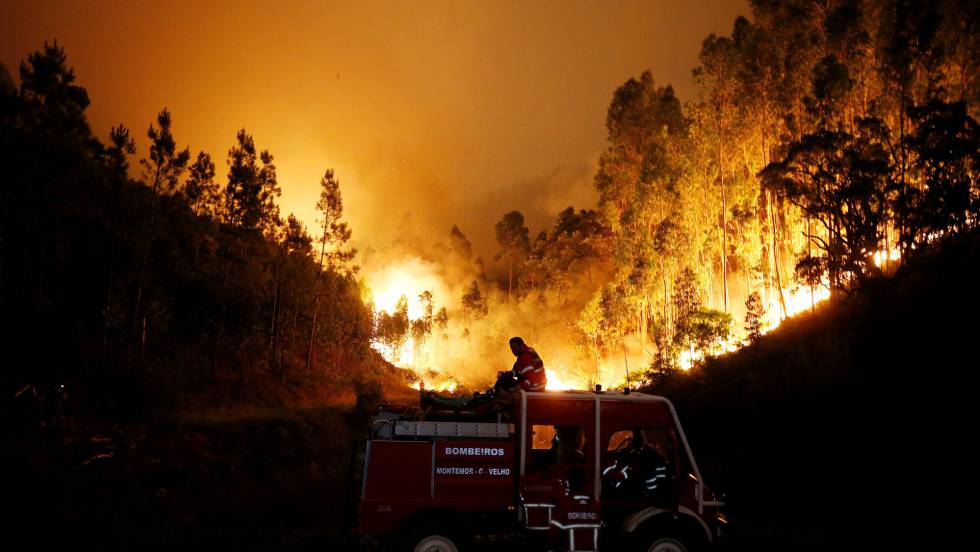 57 Muertos y 59 Heridos en un Incendio Forestal en Portugal
