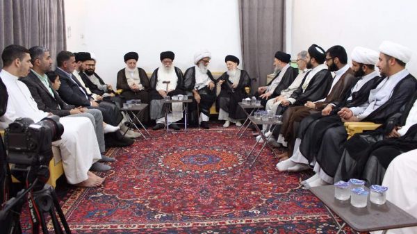 المرجع الحكيم يستقبل المرجع النجفي