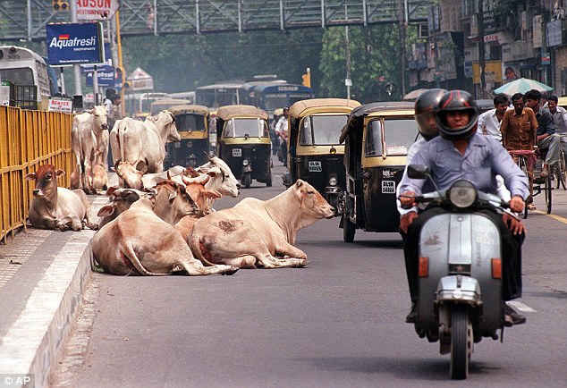 Indian mob kills Muslim teen for carrying beef, one arrested