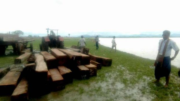 ဘီးလင္းၿမိဳ႕နယ္တြင္ ပိုင္ရွင္မဲ့သစ္မ်ား ဖမ္းမိ