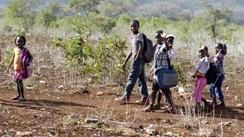 26% das crianças que morrem em Moçambique sofrem de desnutrição