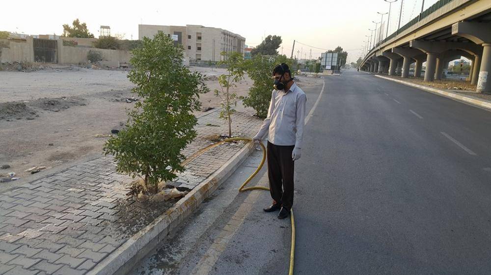 تشجير شوارع مدينة كربلاء المقدّسة أحد المشاريع الرائدة التي تبنّتها العتبة العبّاسية المقدّسة+(صور)