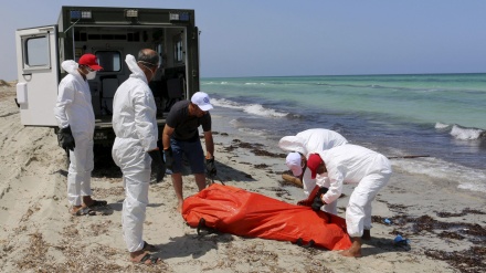 255 Leichen von Immigranten an libyscher Küste entdeckt