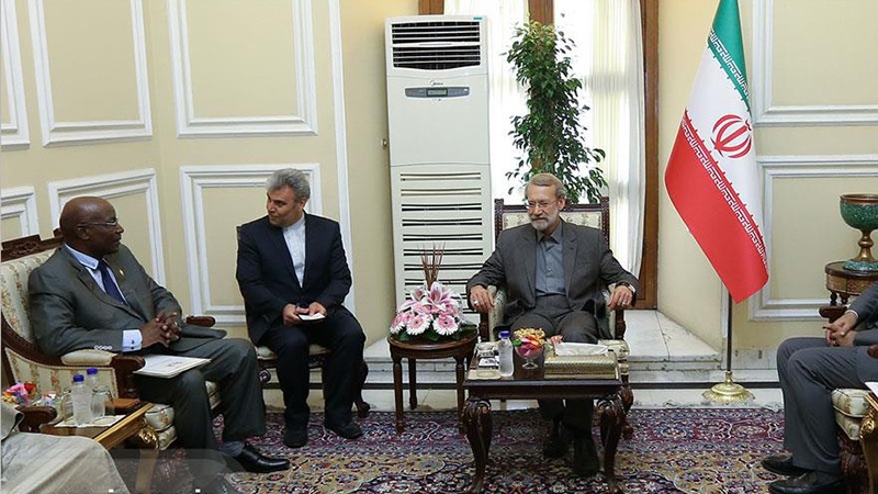 ڈاکٹر لاریجانی: دہشتگردی کے خلاف جنگ عالم اسلام کا اہم مسئلہ
