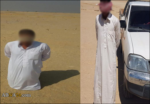 الجيش المصري يداهم خلية إرهابية في سيناء
