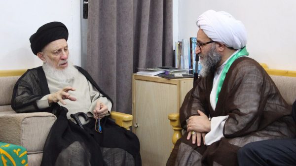 المرجع الحكيم يثمن كل جهد يخدم زوار العتبات المقدسة