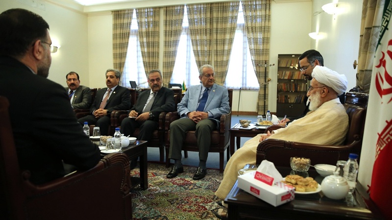 تہران میں پاکستانی سینیٹ کے چیئرمین کی آیت اللہ احمد جنتی سے ملاقات