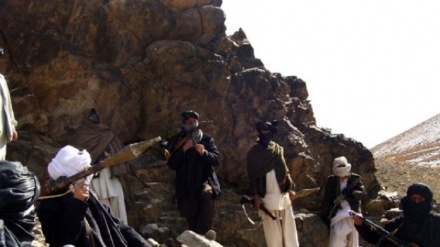 Taliban töten 50 Zivilisten