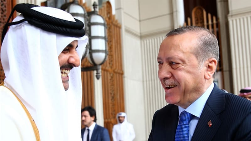Egypt, UAE benefit the most from Persian Gulf crisis: Erdogan