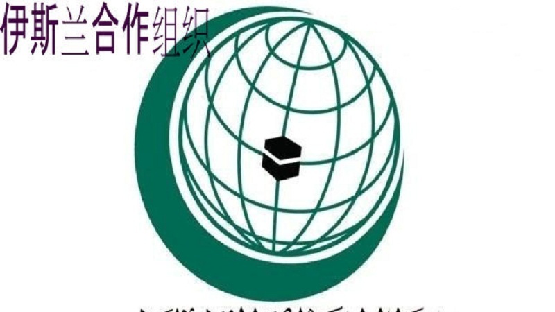 伊斯兰合作组织向巴勒斯坦人民提供2600万美元援助