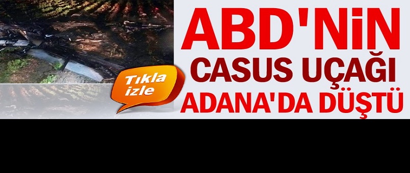 ABD'nin casus uçağı Adana'da düştü