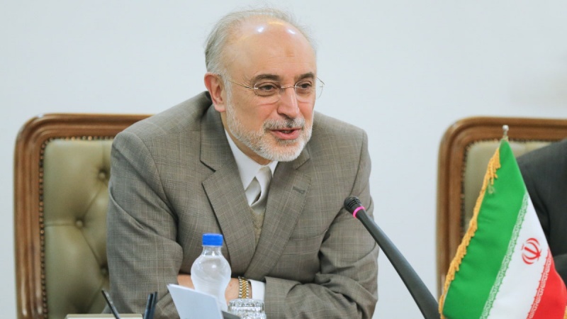 ایران پانچ دن کے اندر یورینیم کی بیس فیصد افزودگی شروع کر سکتا ہے