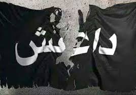 داعش اپنی حیات کی آخری سانسیں لے رہی ہے: معروف ایرانی سیاستداں