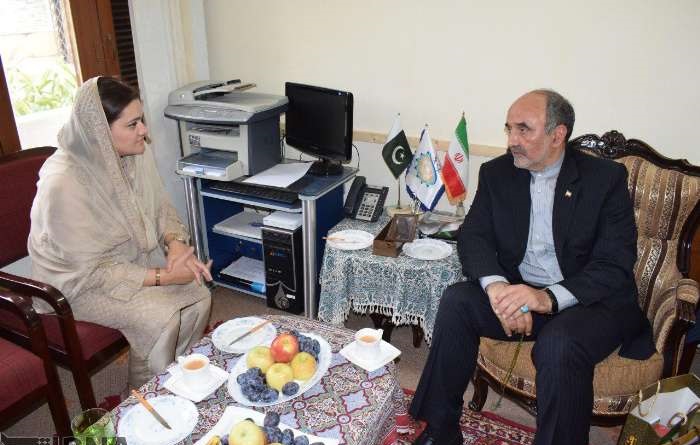 پاکستان کی نئی امریکی پالیسی کے خلاف ایرانی مؤقف کی تعریف