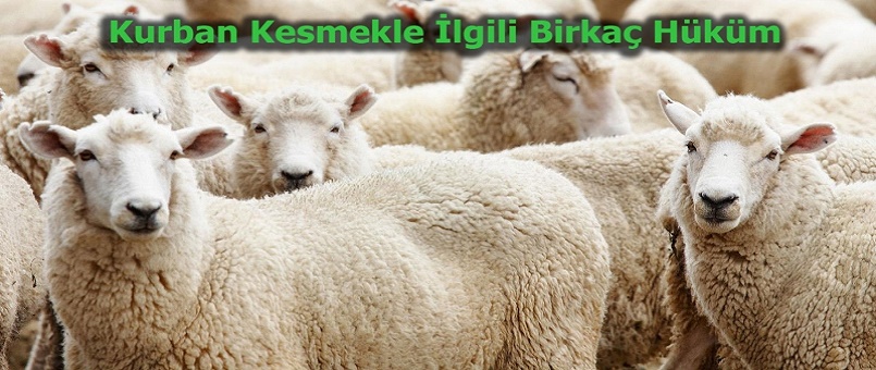 Kurban Kesme Hükümleri