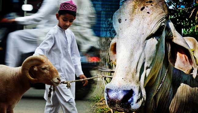 Umat Islam Di India Digesa Jangan Lakukan Korban Di Tepi Jalan Umat Islam Di India Digesa Jangan Lakukan Korban Di Tepi Jalan