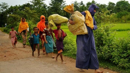UNO: Mindestens 73.000 Rohingya-Muslime geflohen