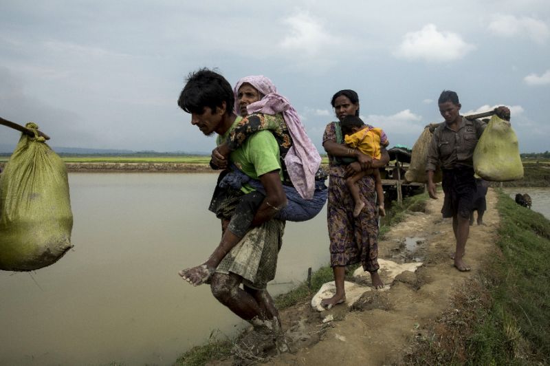 Islamic countries to form contact group for Rohingya crisis in Myanmar: Iranian envoy