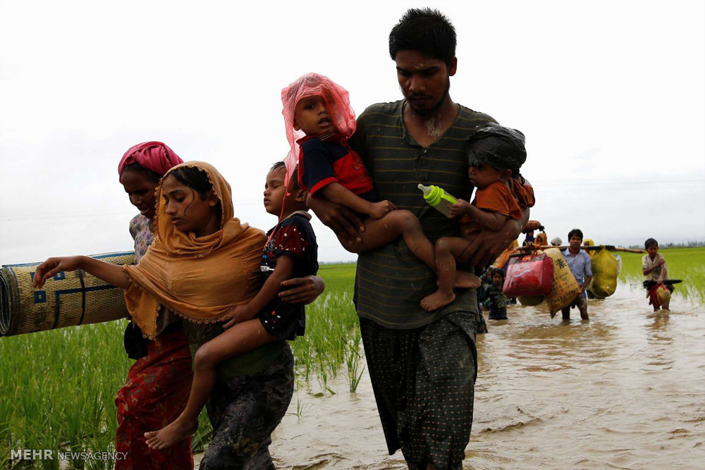 تصویری رپورٹ: روہنگیا مسلمانوں کا میانمار حکومت کے بہیمانہ ظلم سے فرار