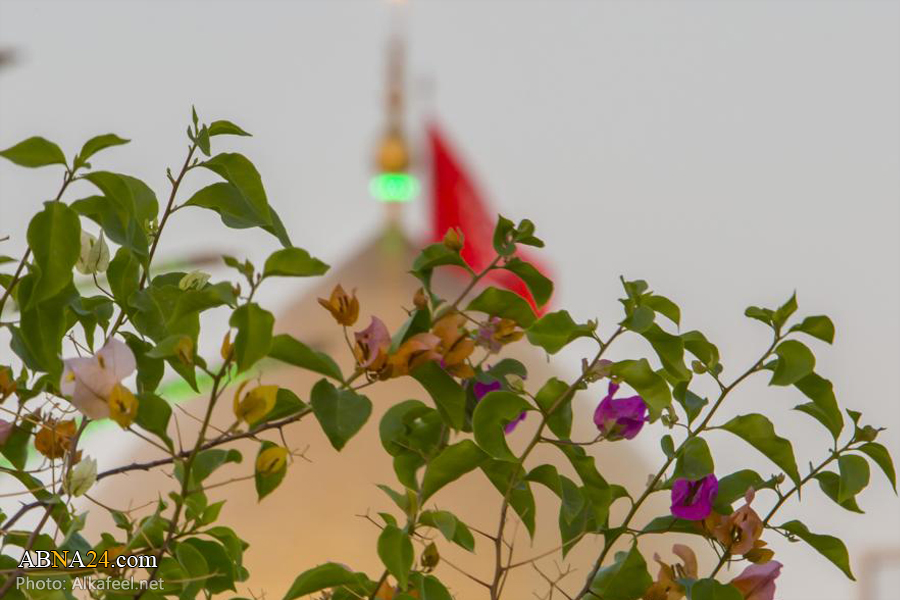 تقرير مصور/ أجواء عيد الغدير في حرم ابي الفضل العباس (ع) 