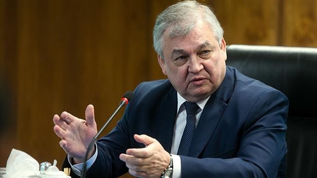 Fixing de-escalations areas in Syria would lead to stability: Russian Envoy