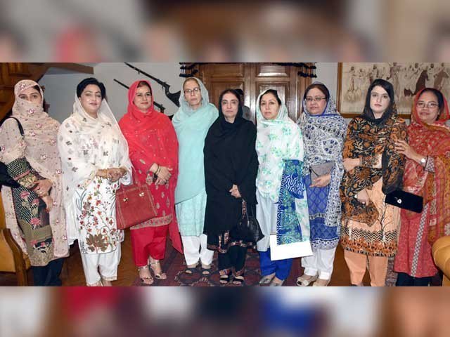 راحت فائق جمالی بلوچستان کی پہلی خاتون وزیربن گئیں