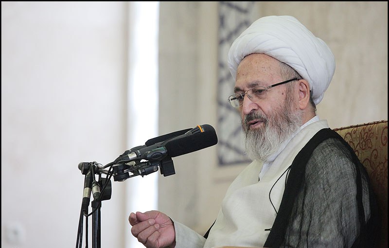 Ayatollah Sobhani: Supreme Leader's warning about Iran’s population decline effective