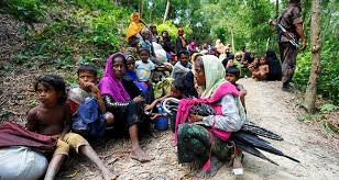 حکومت ہندوستان کا سپریم کورٹ سے روہنگیا مسلمانوں کو ملک سے نکالنے کا مطالبہ/ مسلمانوں کا شدید رد عمل
