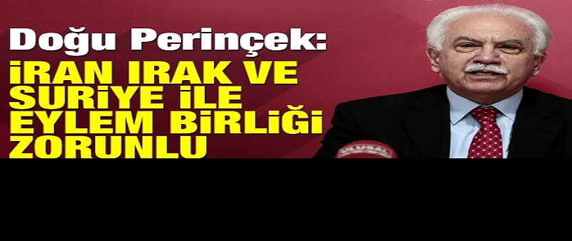 Doğu Perinçek: İran, Irak ve Suriye ile eylem birliği zorunlu