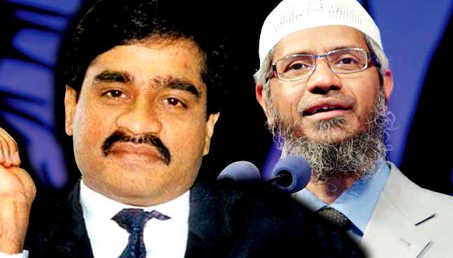 Laporan: Gangster Dawood Ibrahim Biaya NGO Zakir Naik