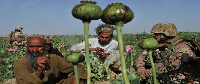 Afganistan ve CIA’in Gizli Eroin Hattı
