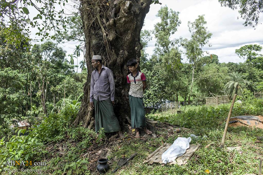 Rohingya: Bukti Sudah Ada, Tindakan?