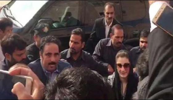 کیپٹن صفدرگرفتارمریم نوازاحتساب عدالت میں پیش