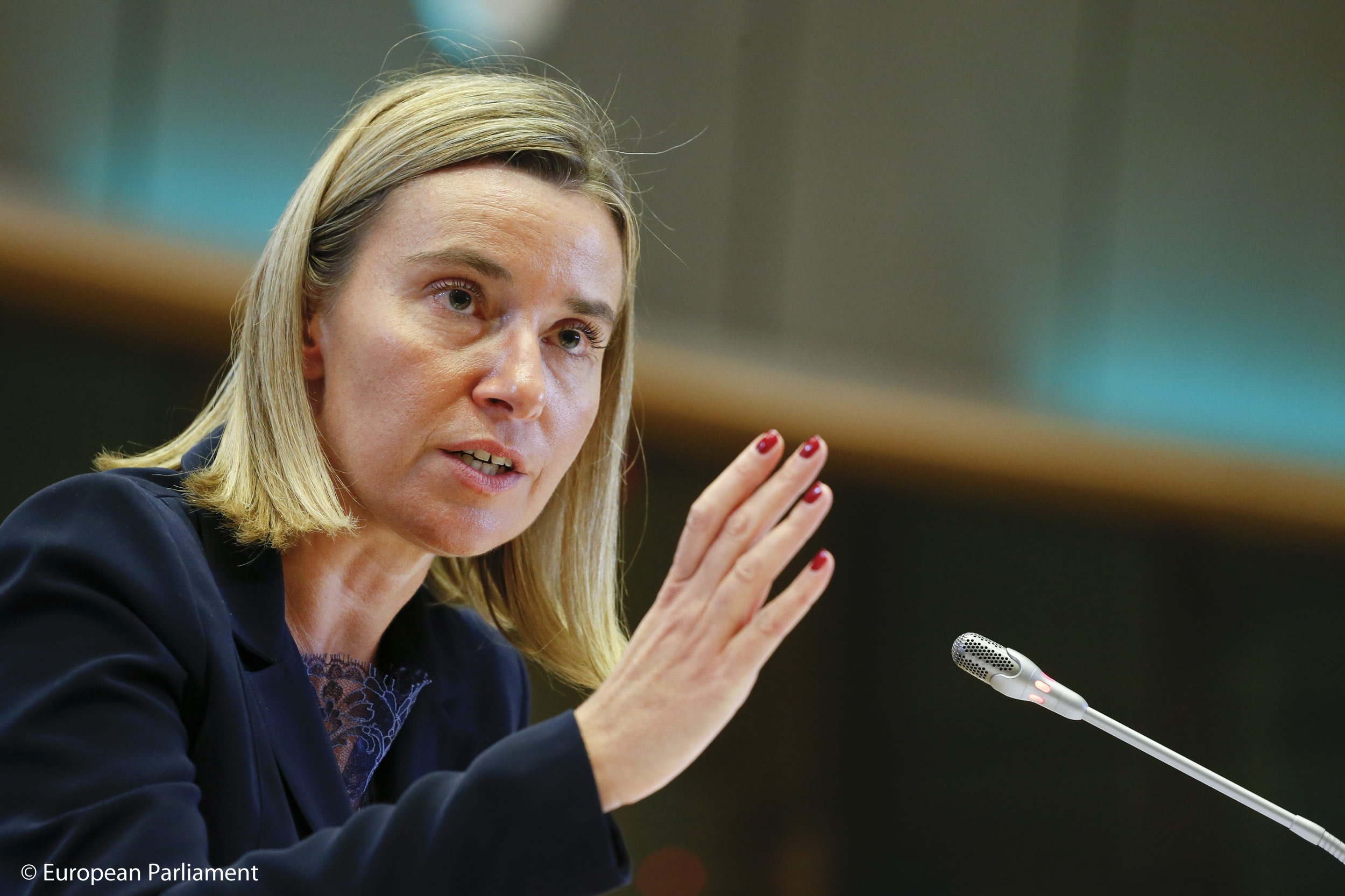 EU Kepada Riyadh: Jelaskan Isu Penahanan Aktivis