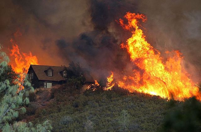 31 Maut Kebakaran Hutan Di California