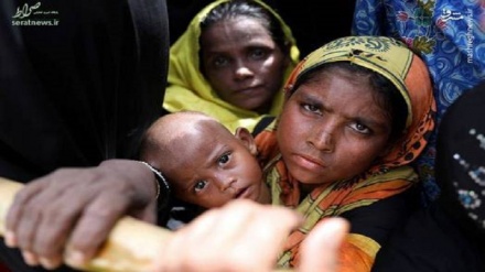 Interparlamentarische Konferenz in St. Petersburg: Gewalt gegen Rohingya-Muslime verurteilt