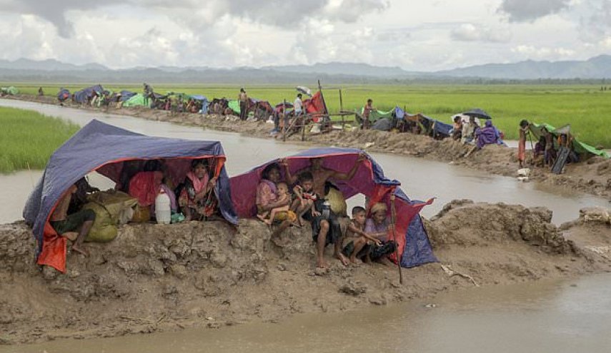 Arbaeen pilgrims participate in collection of aid for Rohingya refugees