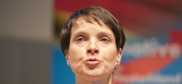 Entstehung und Entwicklung der AfD