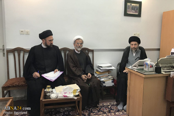 اہل بیت(ع) عالمی اسمبلی کی اربعین کمیٹی کے اراکین کی حجۃ الاسلام سید ریاض حکیم سے ملاقات