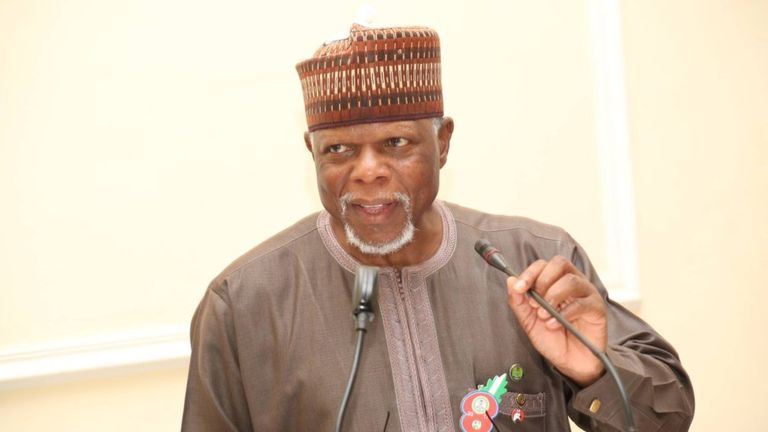 'Yan PDP ne rabin gwamnatin Buhari – Hameed Ali