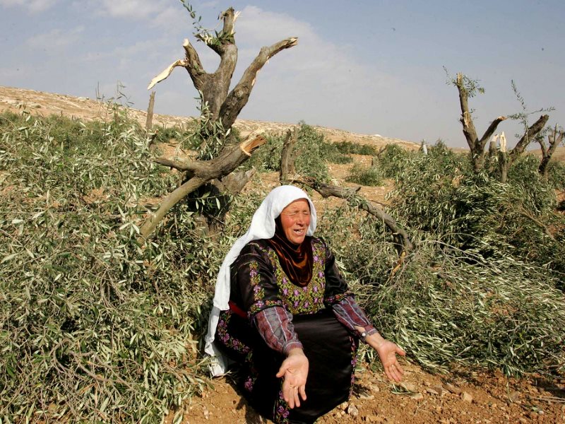 Israeli soldiers prevent Palestinians from accessing their lands to pick olives