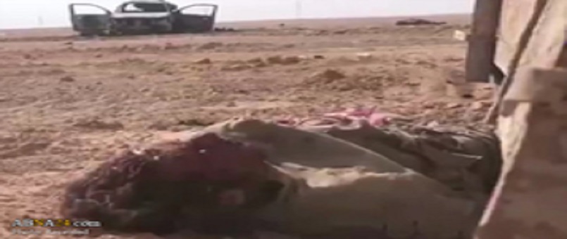 Fatımiyyun Tugayları IŞİD’i Böyle Tarumar Etti / Video