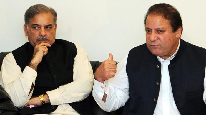 شریف برادران کی سیاست ختم ہوچکی، جلد جیل کی سلاخوں کے پیچھے ہونگے
