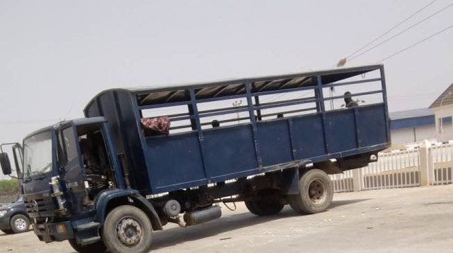 Two martyred as Nigerian police raid Arbaeen commemoration