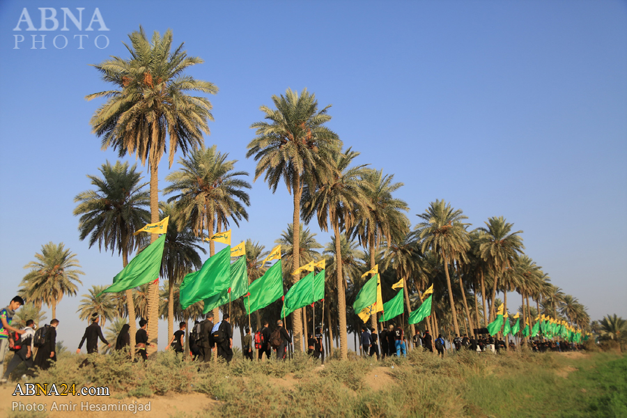 تقرير مصور/ زوار أربعينية الامام الحسين (ع) في مسير الكوفة الى كربلاء المقدسة