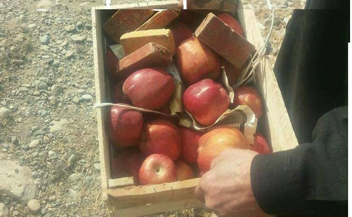 پاک فوج نے دھشتگروں کا بڑا منصوبہ ناکام بنا دیا