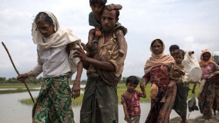 Mehr als 600 Tausend Rohingyas nach Bangladesch geflohen