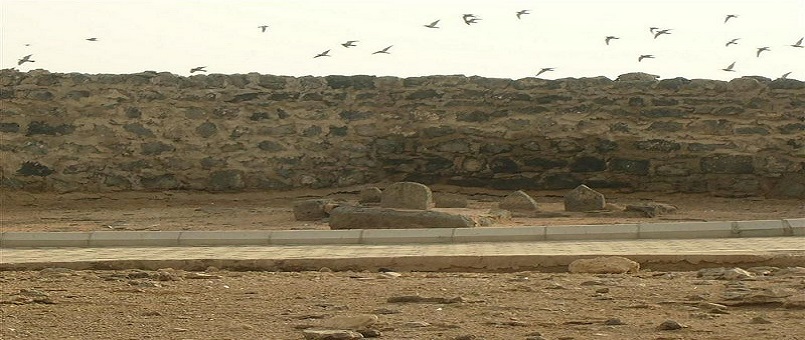 İmam Hasan ( Şehadeti Münasebetiyle )